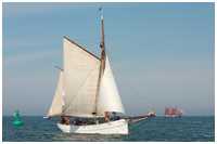 Heringslogger Pirola