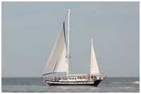 Holland-Klipper Galene