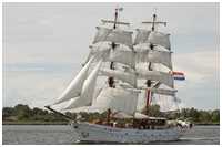 Brigg Aphrodite
