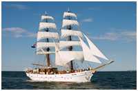 Brigg Aphrodite