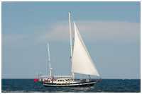 Holland-Klipper Galene