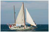 Holland-Klipper Sabia