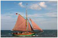 Jagt Ellen