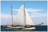 Klipper Elegant