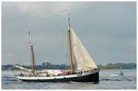 Heringslogger Tecla