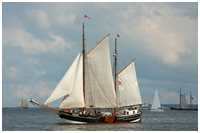 See-Ewer Amazone