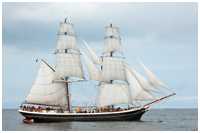 Brigg Morgenster