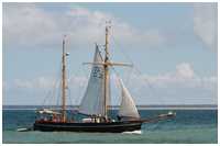 Galeasse Fulvia