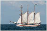 Barkentine Vega