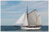 Heringslogger Pirola
