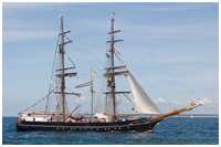 Brigg Roald Amundsen