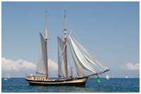 Gaffelschoner Zuiderzee