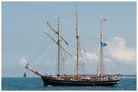 Dreimast-Toppsegelschoner Albatros