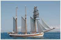 Barkentine Vega