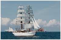 Brigg Aphrodite