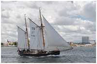 Galeasse Fulvia