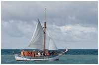 Gaffelkutter Baltic Star
