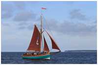 Jagt Ellen