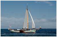 Klipper Stella Maris