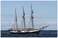 Dreimast-Großtoppsegelschoner Fridtjof Nansen