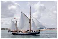 Heringslogger Belle Amie
