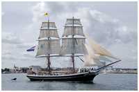Brigg Morgenster