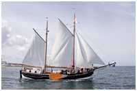 See-Ewer Amazone