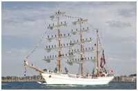 Bark Cuauhtémoc