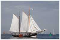 See-Ewer Amazone