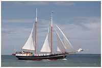 Gaffelschoner Abel Tasman