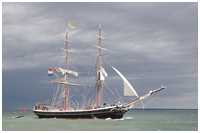 Brigg Morgenster