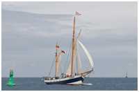 Heringslogger Belle Amie