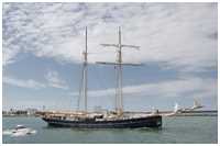 Toppsegelschoner Wylde Swan