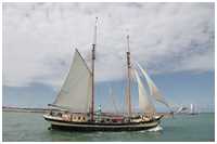 Gaffelschoner Zuiderzee