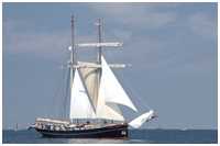 Toppsegelschoner Wylde Swan