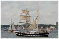Schonerbrigg Willem