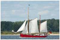 Heringslogger Ryvar