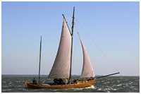 Zeesboot Butt (FZ 11)