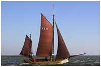 Zeesboot Blondine (FZ 16)