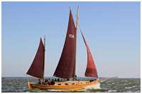 Zeesboot Raun (FZ 85)