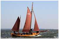 Zeesboot Lütt Hanning (FZ 99)