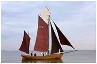 Zeesboot Blondine (FZ 16)