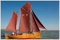 Zeesboot Marie (FZ 75)