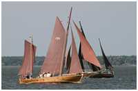 Zeesboot Bill (FZ 4)