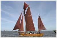 Zeesboot Schwart Johann (FZ 6)