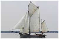 Zeesboot Conni (FZ 80)