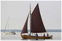 Zeesboot L&uuml;tt Butt (FZ 97)