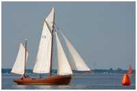 Zeesboot Heimat (FZ 8)