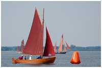 Zeesboot L&uuml;tt Butt (FZ 97)