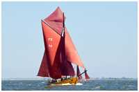 49. Zeesbootregatta Bodstedt 7. September 2013